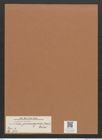 Navicula permagna (Bail.) Edw. (de-Toni-Nr.: Genus 1, Species 515) Zeichnungen Sammlung Grunow Mappe 00453 (Herbarium_W_Grunow_drawings_Folder_00453)